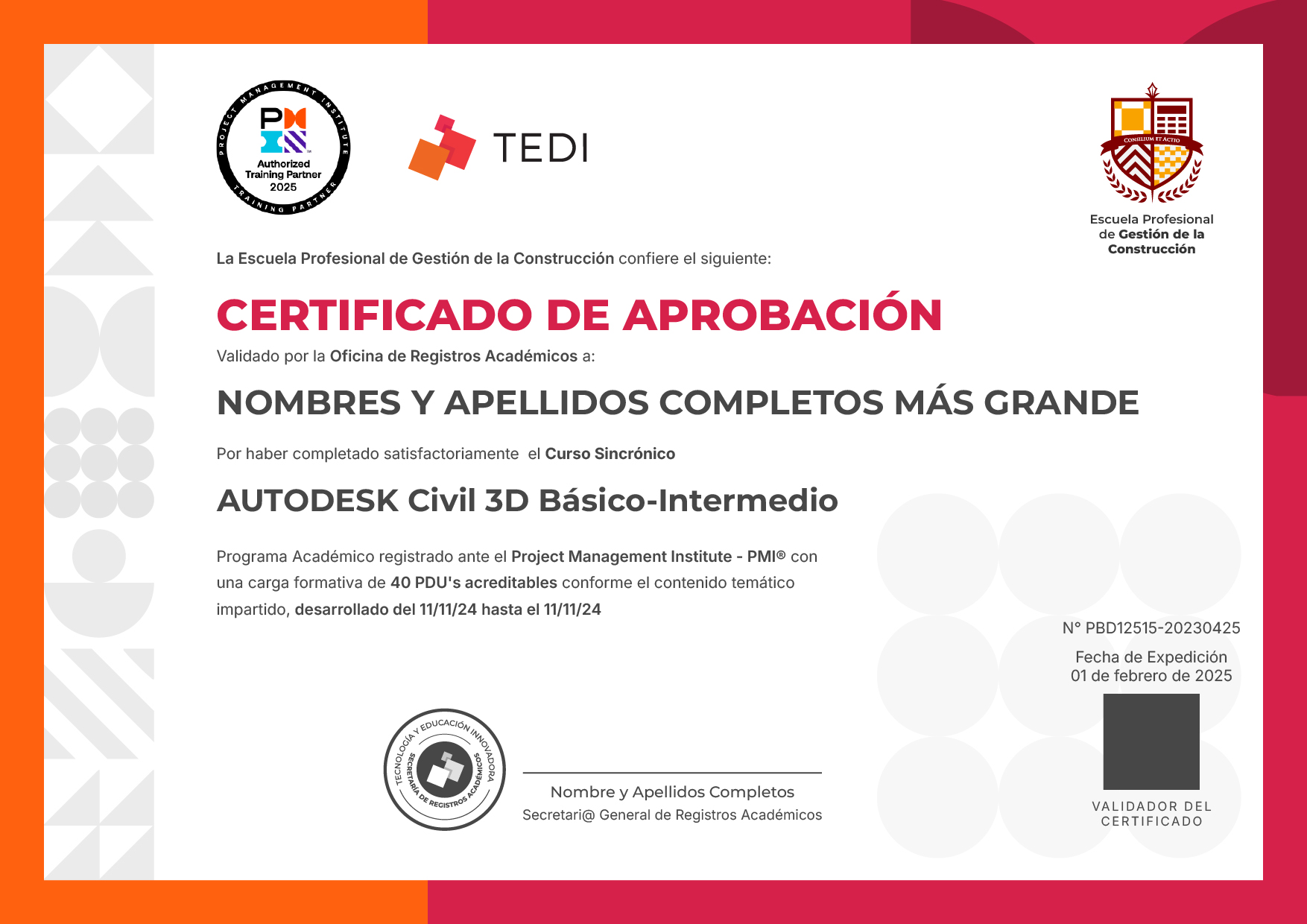 PMI - TEDI